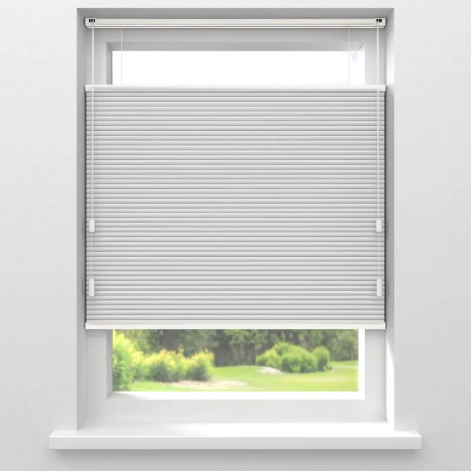 Fenstr Dubbel Plissé Elsa Wit Verduisterend