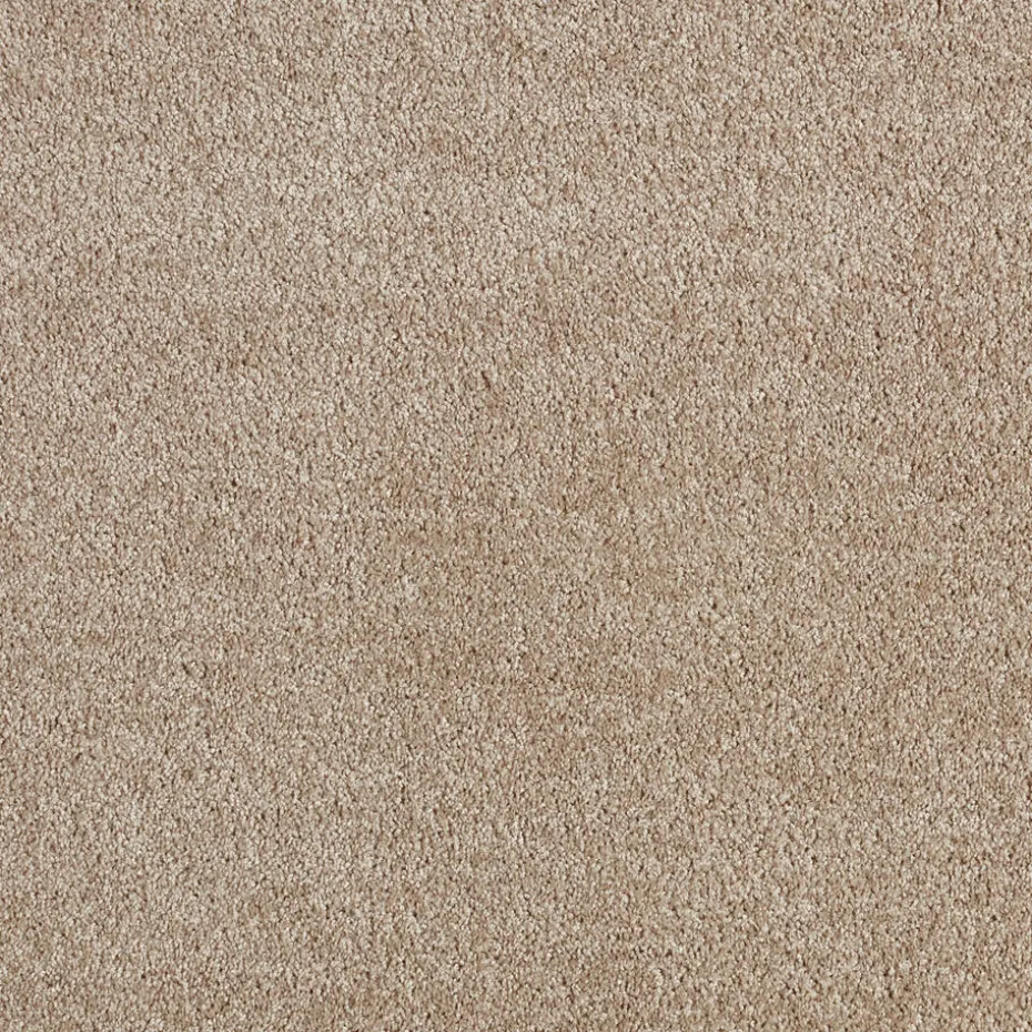 Staal Tapijt Chard Beige