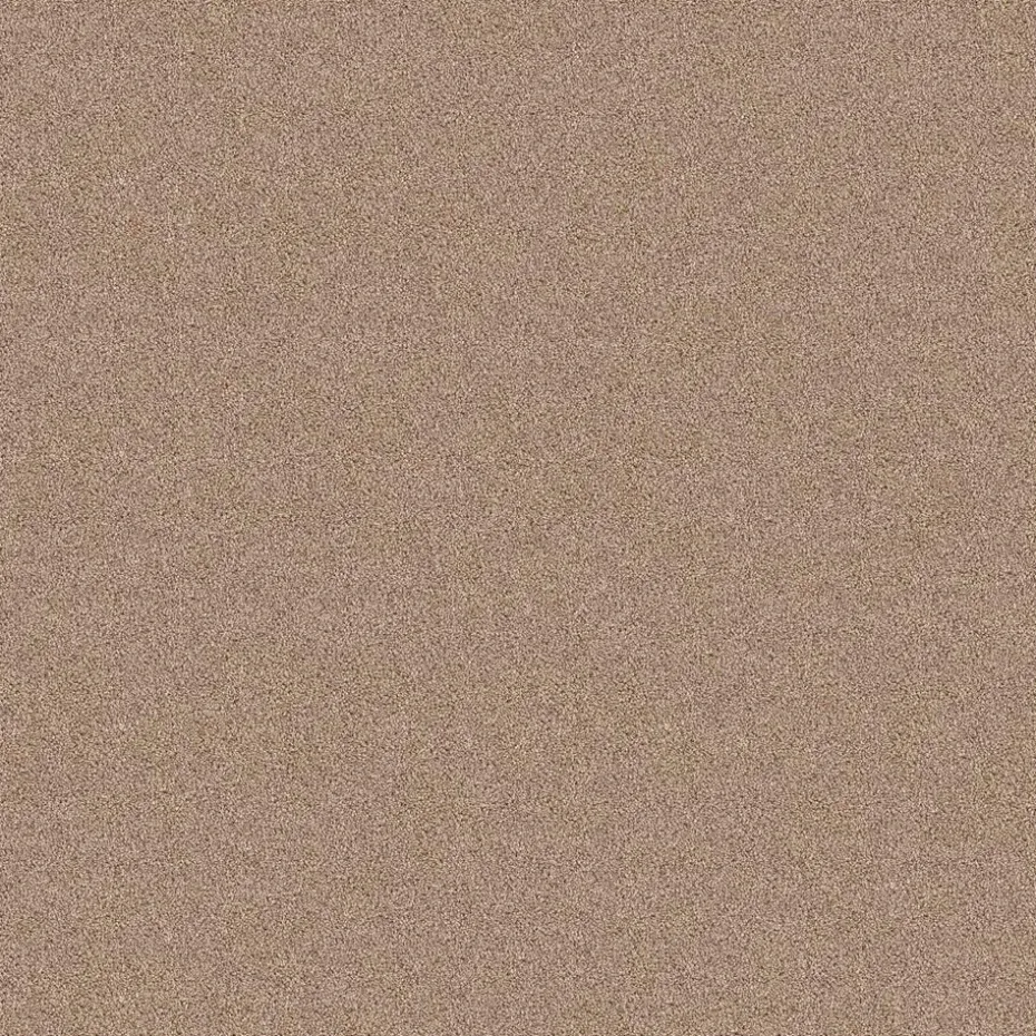 Staal Tapijt Cornell Beige